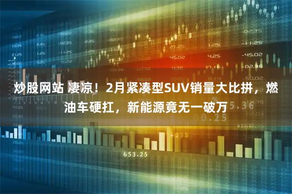 炒股网站 凄凉！2月紧凑型SUV销量大比拼，燃油车硬扛，新能源竟无一破万