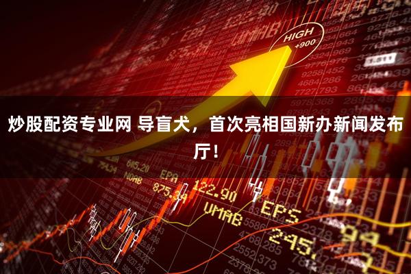 炒股配资专业网 导盲犬，首次亮相国新办新闻发布厅！